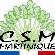 Cours de Guitare - CSM Martinique